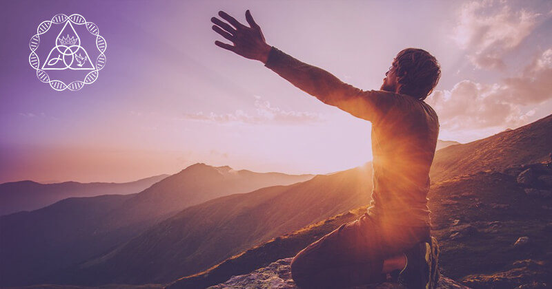 Gratitud